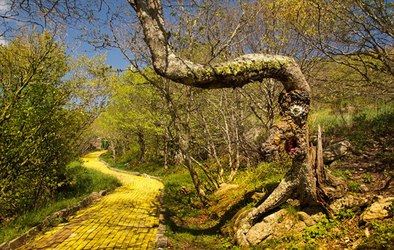 صور اجمل حديقة ملاهي مهجورة في العالم تسكنها الاشباح ويملأها الرعب صورة رقم 11