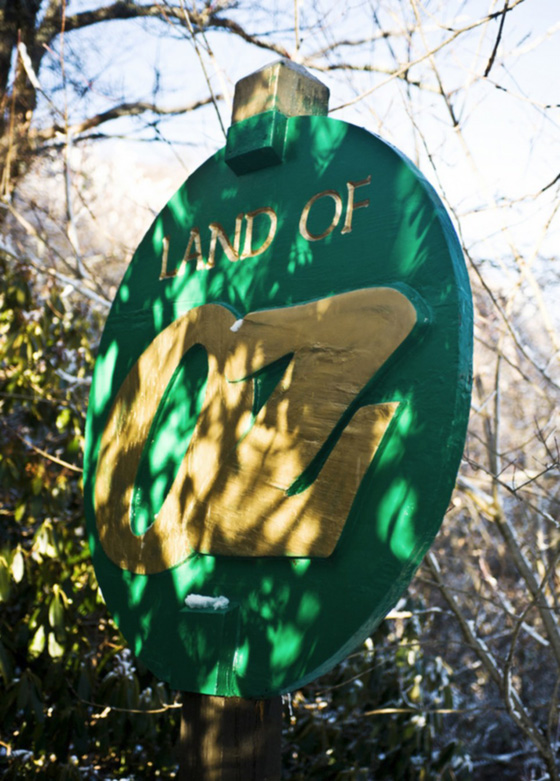 صور اجمل حديقة ملاهي مهجورة في العالم تسكنها الاشباح ويملأها الرعب صورة رقم 21