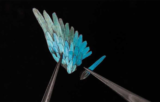 هونغ كونغ تستضيف معرض الساعات الفاخرة.. ساعة بسعر منزل فخم! صورة رقم 12 هونغ كونغ تستضيف معرض الساعات الفاخرة.. ساعة بسعر منزل فخم! صورة رقم 12