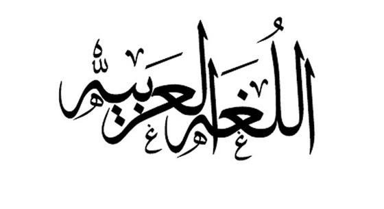 عدد المتحدثين بالعربية في امريكا يزداد بنسب عالية وتراجع الاسبانية صورة رقم 2