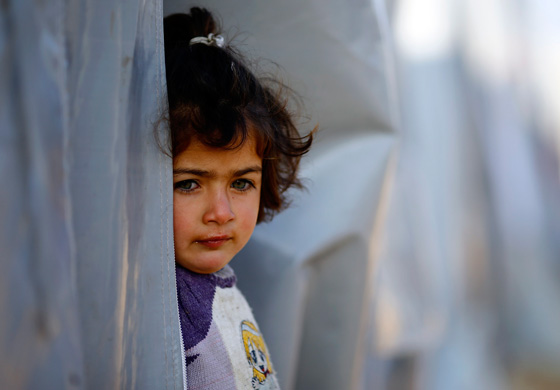 المشردون يسجلون ارقاما قياسية وغير مسبوقة منذ الحرب العالمية  صورة رقم 3