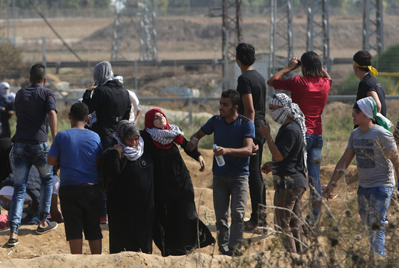 المراة الفلسطينية تشمر عن ساعدها وتنزل الى ساحة المواجهات مع الاحتلال صورة رقم 17 المراة الفلسطينية تشمر عن ساعدها وتنزل الى ساحة المواجهات مع الاحتلال صورة رقم 17