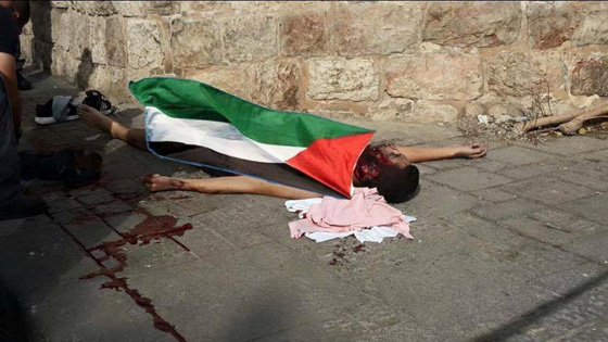 اعدام ثلاثة فلسطينيين بذريعة الارهاب واضراب عام في اراضي 48 صورة رقم 16 اعدام ثلاثة فلسطينيين بذريعة الارهاب واضراب عام في اراضي 48 صورة رقم 16