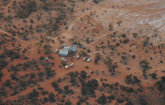 تاه في الصحراء فاعتاش اسبوعا كاملا على أكل النمل صورة رقم 3