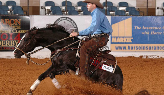 اكبر مزرعة في العالم معروضة للبيع.. شاهدها بالصور وتكهن بثمنها صورة رقم 8