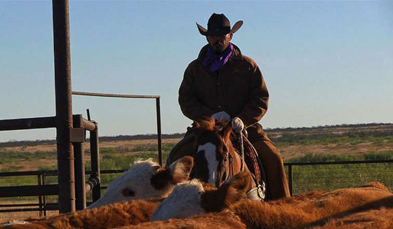 اكبر مزرعة في العالم معروضة للبيع.. شاهدها بالصور وتكهن بثمنها صورة رقم 5