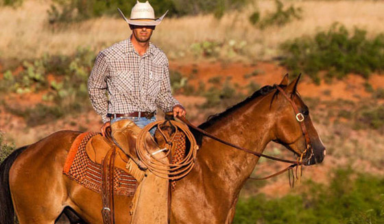 اكبر مزرعة في العالم معروضة للبيع.. شاهدها بالصور وتكهن بثمنها صورة رقم 4