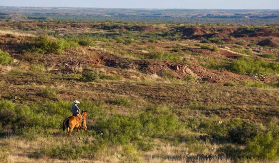 اكبر مزرعة في العالم معروضة للبيع.. شاهدها بالصور وتكهن بثمنها صورة رقم 2