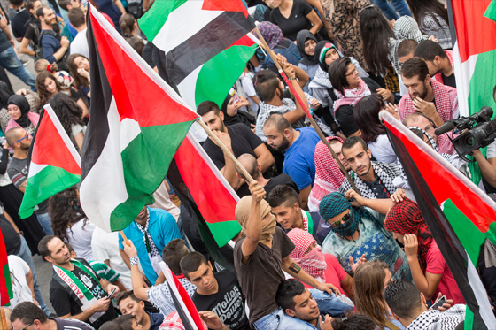 عشرة الالف سخنيني يهتفون ضد الاعتقالات في الضفة الغربية صورة رقم 7