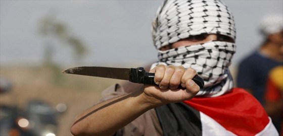الفلسطينيون يهاجمون الاسرائيليين بالسكين ومقشرة الخضار!! صورة رقم 2