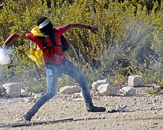 الضفة الغربية وغزة على موعد مع يوم الثورة والغضب اليوم الجمعة صورة رقم 1