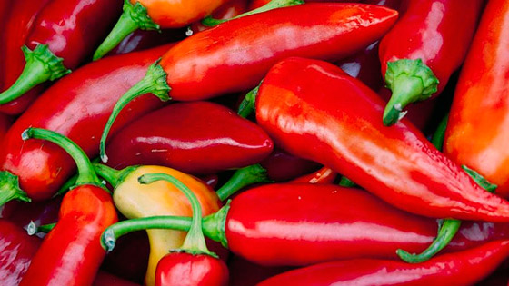  مصرية ارادت التخلص من رضيعتها فاطعمتها علبة شطة حتى ماتت صورة رقم 1