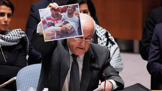  بعد 35 شهيدا.. فلسطين تطالب مجلس الامن بتوفير حماية لشعبها  صورة رقم 1