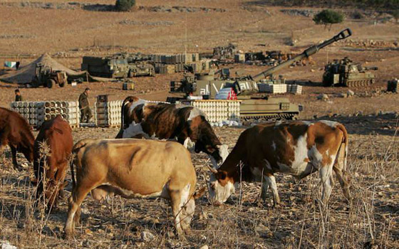 دورية اسرائيلية متهمة بسرقة 4 روؤس ماشية من قرية لبنانية!! صورة رقم 1 دورية اسرائيلية متهمة بسرقة 4 روؤس ماشية من قرية لبنانية!! صورة رقم 1