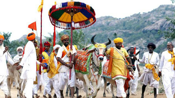 قائد هندي بارز لمسلمي بلاده.. عليكم التوقف عن اكل لحوم الابقار صورة رقم 3 قائد هندي بارز لمسلمي بلاده.. عليكم التوقف عن اكل لحوم الابقار صورة رقم 3