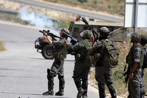 طفلة فلسطينية تتعرض لنيران الاحتلال خلال اقترابها من يتسهار صورة رقم 1