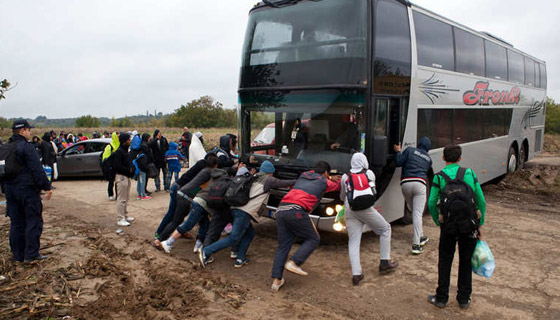 شاهد معاناة المهاجرين الى كرواتيا.. كما التقطتها كاميرا مرافقة لهم صورة رقم 3