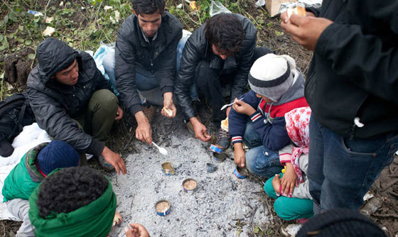 شاهد معاناة المهاجرين الى كرواتيا.. كما التقطتها كاميرا مرافقة لهم صورة رقم 5