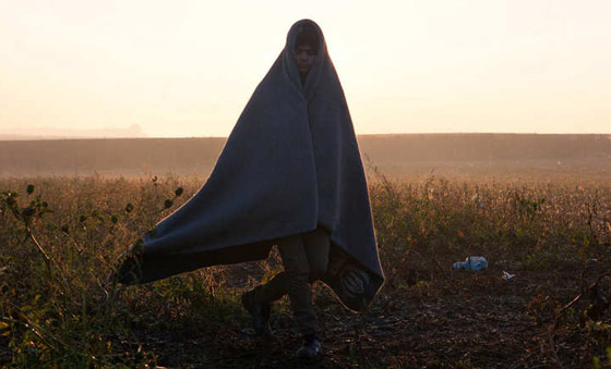 شاهد معاناة المهاجرين الى كرواتيا.. كما التقطتها كاميرا مرافقة لهم صورة رقم 14