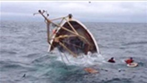  مقتل ما لا يقل عن 5 كنديين في غرق مركب لمراقبة الحيتان صورة رقم 2