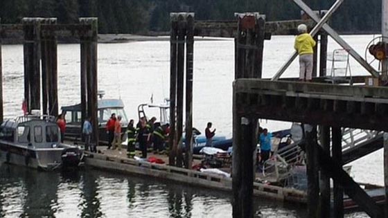  مقتل ما لا يقل عن 5 كنديين في غرق مركب لمراقبة الحيتان صورة رقم 3