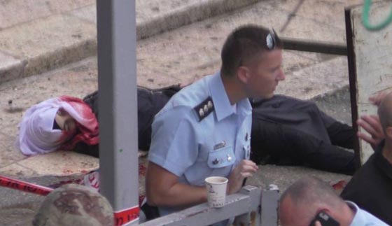  الجيش الاسرائيلي قتل الفتاة في الخليل وهي ترفع يديها ولا تحمل شيئا صورة رقم 5