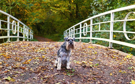 بمناسبة الهالوين: اليكم صور اكثر الاماكن رعبا حول العالم صورة رقم 24