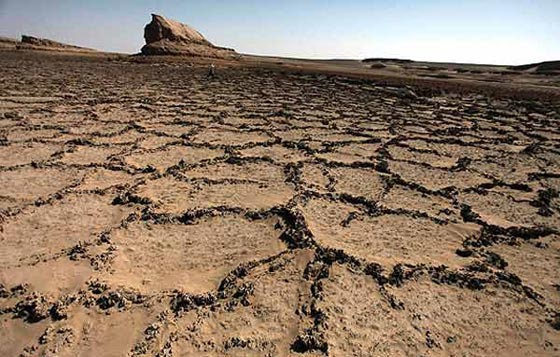 هل تتحول منطقة الخليج العربي الى ارض بلا بشر؟ صورة رقم 3