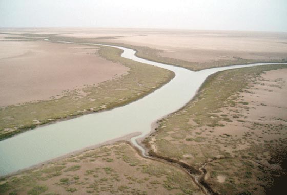 هل تتحول منطقة الخليج العربي الى ارض بلا بشر؟ صورة رقم 8