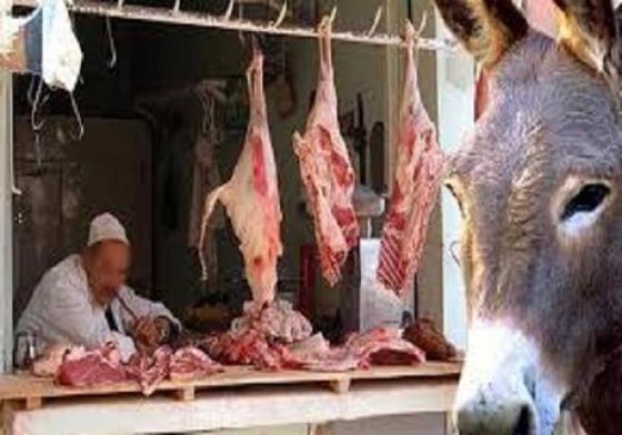 مصر: امراة تطلب خلع زوجها لانه اكلها لحم الحمير قرابة السنتين للتوفير صورة رقم 2