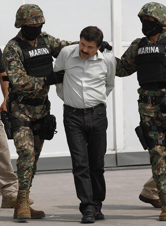 بارون المخدرات المكسيكي يقع في فخ الشرطة بفضل قرد صورة رقم 2