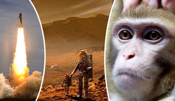 قرود روسية تستعد لاقتحام الفضاء.. في رحلة فريدة الى المريخ صورة رقم 2 قرود روسية تستعد لاقتحام الفضاء.. في رحلة فريدة الى المريخ صورة رقم 2