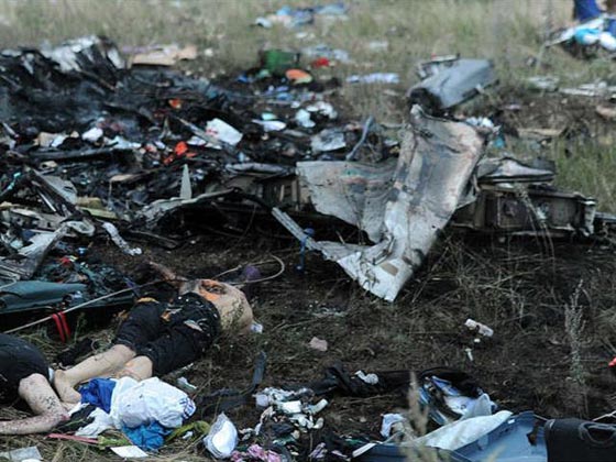 روسيا: الذئاب الرمادية تقف وراء تحطم الطائرة الروسية في سيناء صورة رقم 11 روسيا: الذئاب الرمادية تقف وراء تحطم الطائرة الروسية في سيناء صورة رقم 11