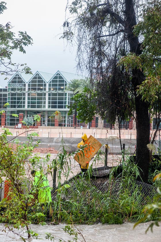 عواصف شديدة تضرب تكساس وتخلف قتلى واضرارا بالغة صورة رقم 6