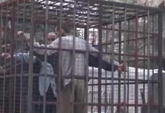 اقفاص بشرية تضم العلويين وجيش النظام في الغوطة دروع لمنع القصف صورة رقم 1