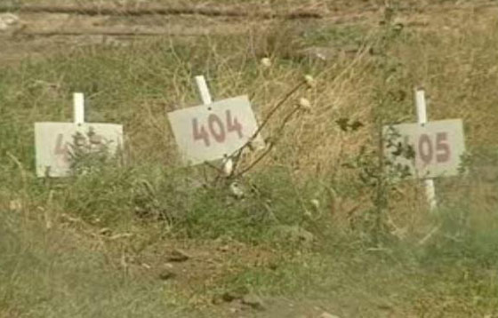 اسرائيل تتحفظ على جثث 242 شهيدا فلسطينيا في ما يسمى مقابر الارقام صورة رقم 7