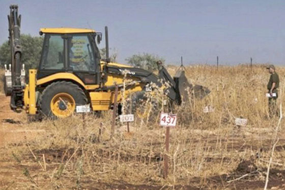 اسرائيل تتحفظ على جثث 242 شهيدا فلسطينيا في ما يسمى مقابر الارقام صورة رقم 4