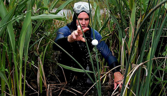 استعادة كرات الغولف الضائعة تكسب عاطلا امريكيا ثروة طائلة!! صورة رقم 3 استعادة كرات الغولف الضائعة تكسب عاطلا امريكيا ثروة طائلة!! صورة رقم 3