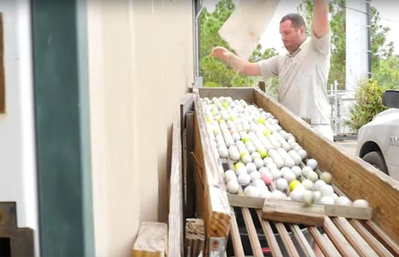 استعادة كرات الغولف الضائعة تكسب عاطلا امريكيا ثروة طائلة!! صورة رقم 8 استعادة كرات الغولف الضائعة تكسب عاطلا امريكيا ثروة طائلة!! صورة رقم 8