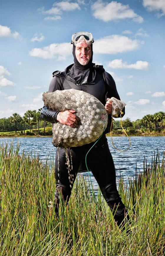 استعادة كرات الغولف الضائعة تكسب عاطلا امريكيا ثروة طائلة!! صورة رقم 6 استعادة كرات الغولف الضائعة تكسب عاطلا امريكيا ثروة طائلة!! صورة رقم 6