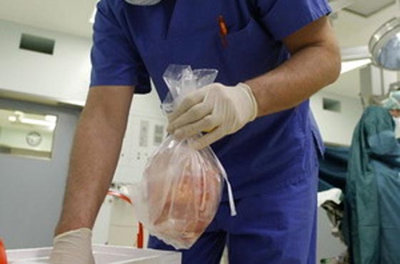 اسرائيل متهمة باستئصال اعضاء من اجساد قتلى فلسطينيين!! صورة رقم 4 اسرائيل متهمة باستئصال اعضاء من اجساد قتلى فلسطينيين!! صورة رقم 4