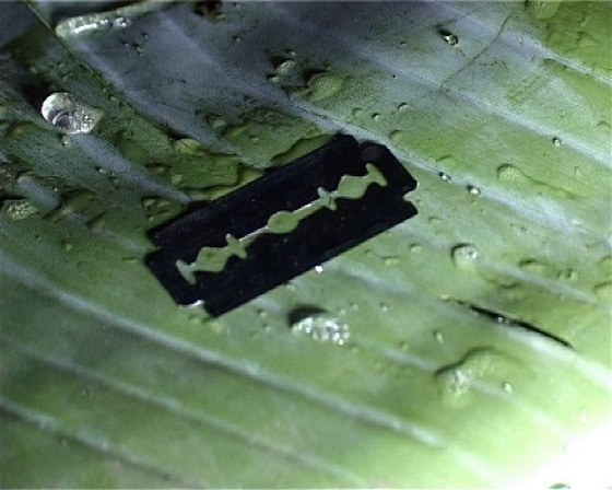 صور ختان الاناث في كينيا تثير الرعب والالم.. وتتحدى المنع!! صورة رقم 2