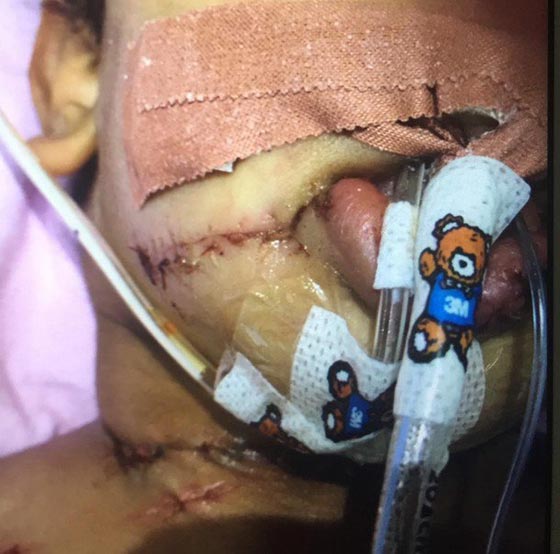  صور صادمة.. خادمة تذبح رضيعا وامه تنقذه في اللحظة الاخيرة  صورة رقم 3