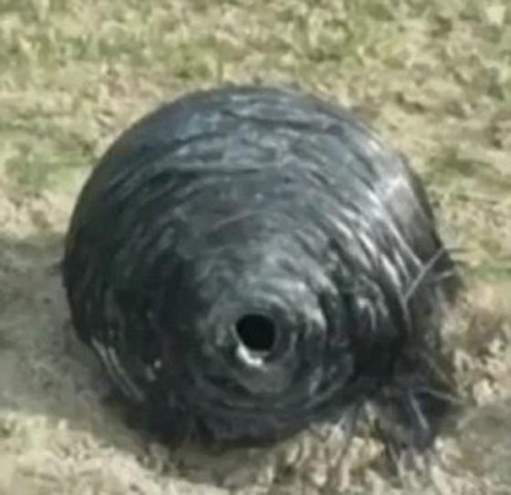 فيديو وصور لجسمين غريبين سقطا من الفضاء على قرية اسبانية صورة رقم 4