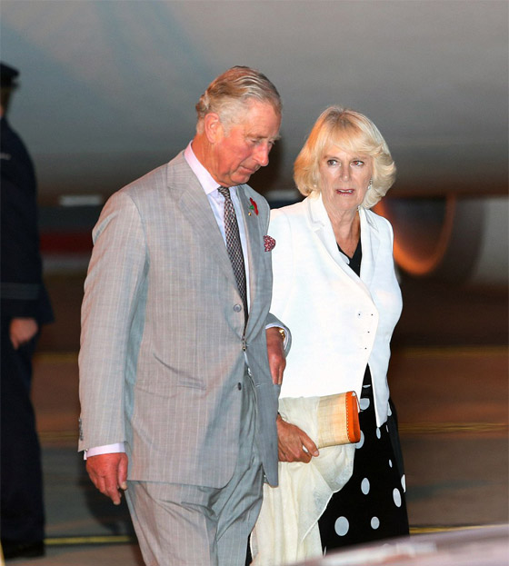  صور طريفة: ولي العهد البريطاني الامير تشارلز يرتعد من سكين زوجته! صورة رقم 7