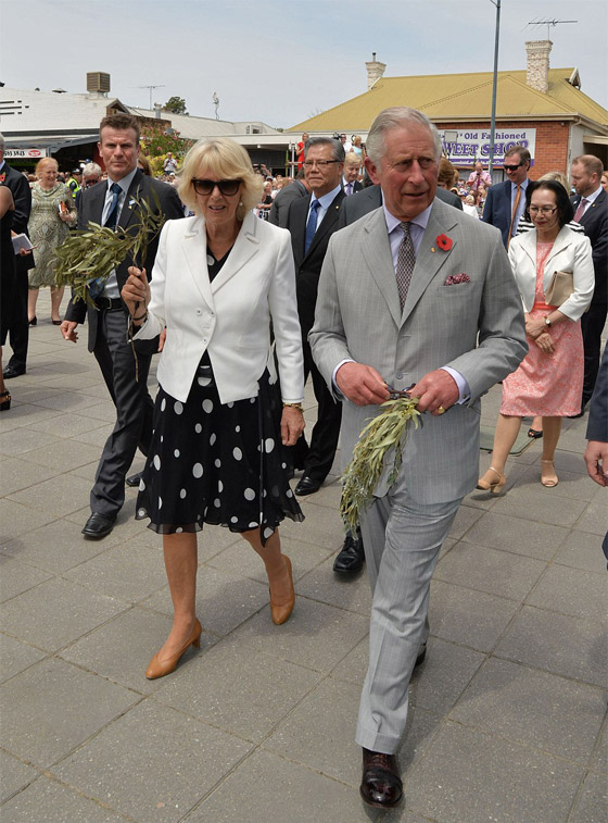  صور طريفة: ولي العهد البريطاني الامير تشارلز يرتعد من سكين زوجته! صورة رقم 6