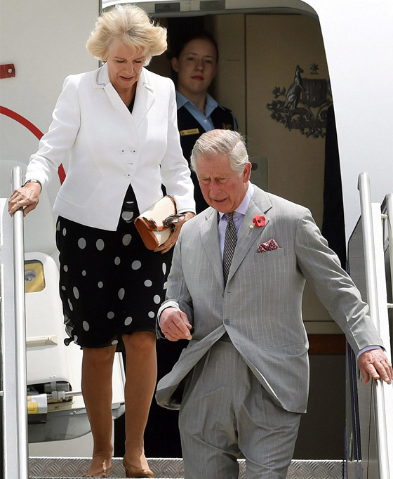  صور طريفة: ولي العهد البريطاني الامير تشارلز يرتعد من سكين زوجته! صورة رقم 8