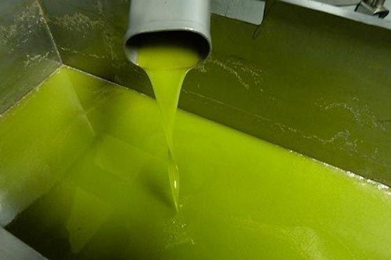 فضيحة.. منتجو زيت الزيتون في ايطاليا يبيعونه على انه نقي وهو مغشوش!! صورة رقم 4