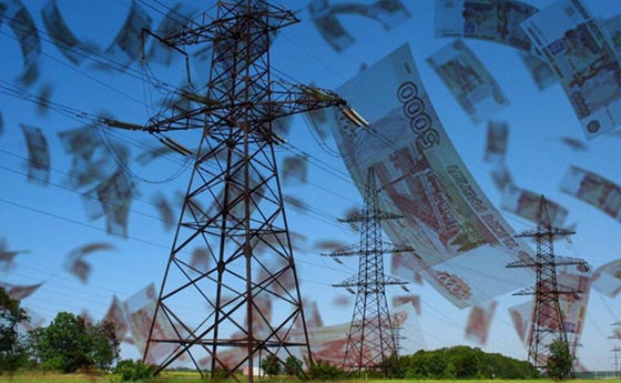 تعويضات بقيمة 16 الف دولار مقابل موت نسر وصقر نادرين صورة رقم 1 تعويضات بقيمة 16 الف دولار مقابل موت نسر وصقر نادرين صورة رقم 1