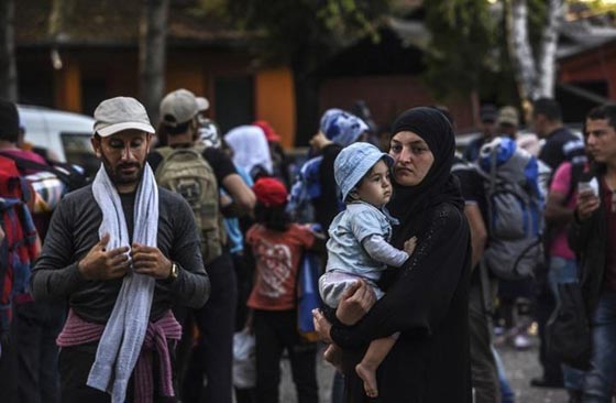 نائب هولندي يدعو لاغلاق ابواب اوروبا امام (الغزو الاسلامي)! صورة رقم 6 نائب هولندي يدعو لاغلاق ابواب اوروبا امام (الغزو الاسلامي)! صورة رقم 6